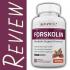 http://weightlossfunandeasy.com/aurum-forskolin/
