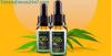 What Is Organic Line CBD Oil Work?