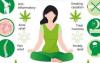 Bradley Walsh CBD Gummies - Does it work?