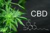 Herbivore CBD â€“ Advanced Natural Relief