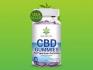 Next Plant CBD Gummies Review:- How Does Next Plant CBD Gummies work?{ USA}